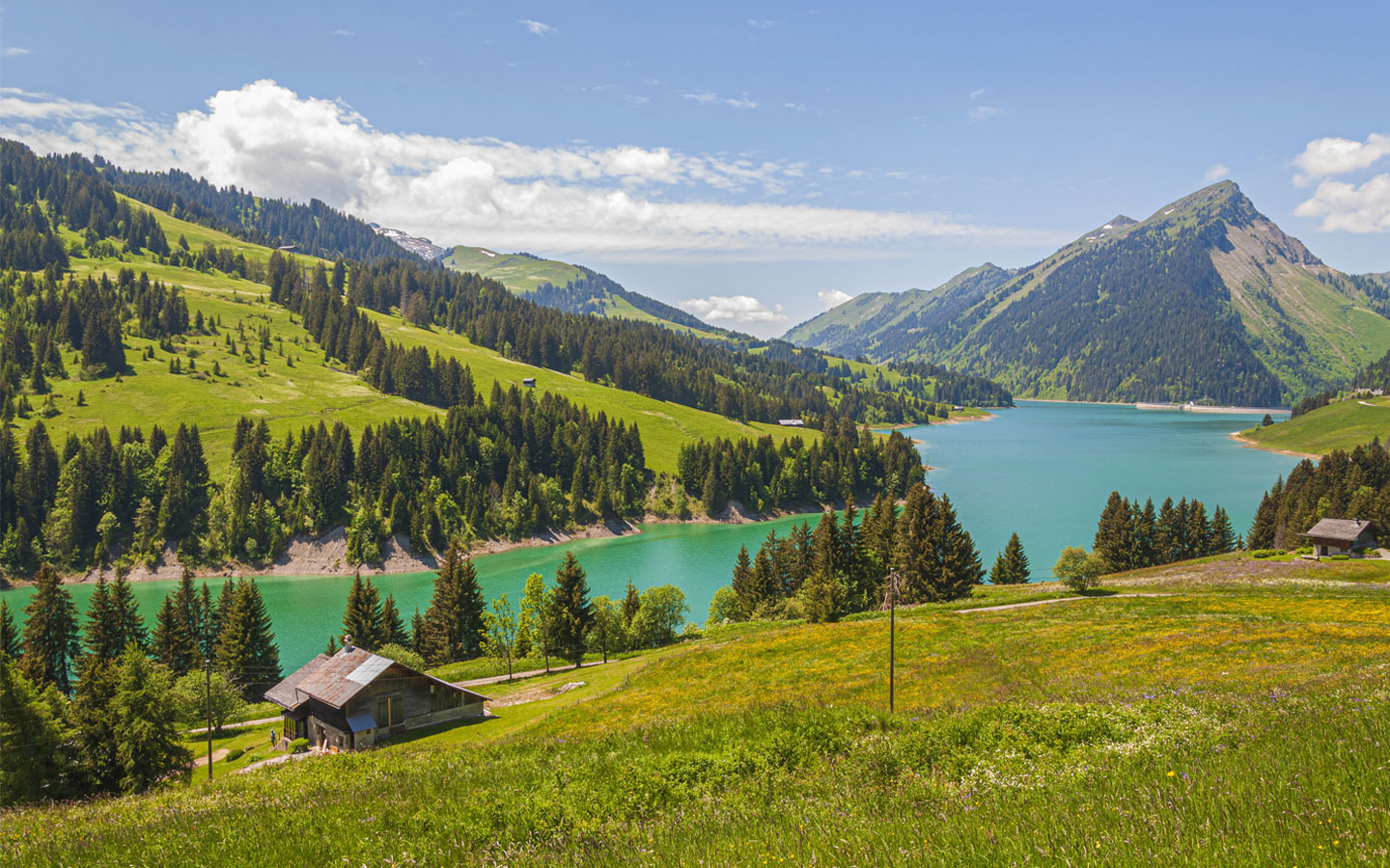 Switzerland Lake Picture