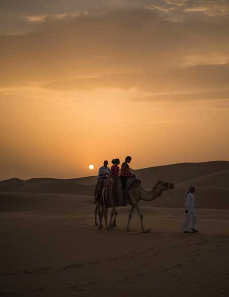 Camel Safari Ride in Dubai