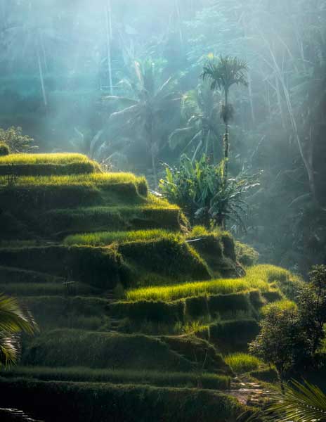 Beautiful hills in Bali - Indonesia