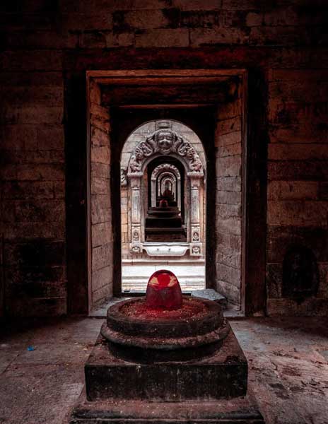 Camel Safari Ride in Dubai