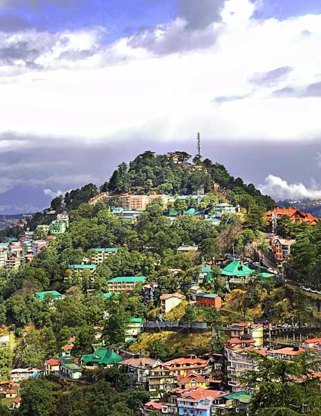 Shimla City View
